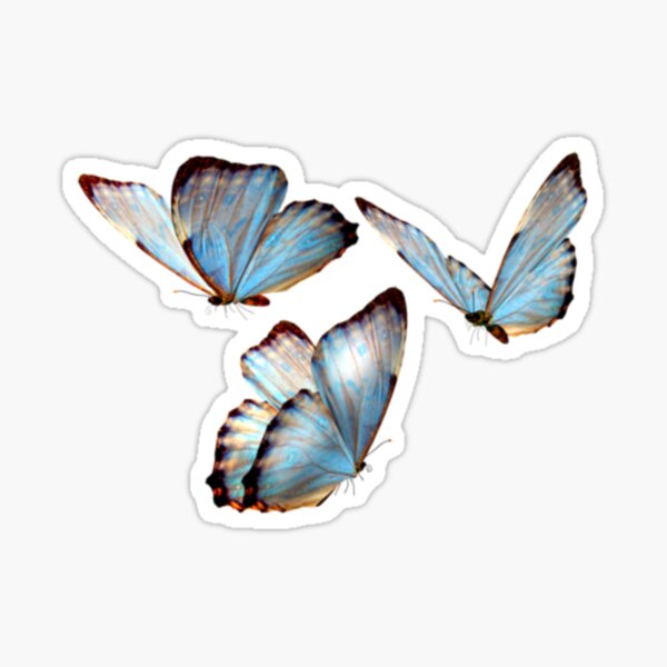3 Butterflies Stickers Redbubble - kawaii aesthetic butterfly cute roblox wallpaper