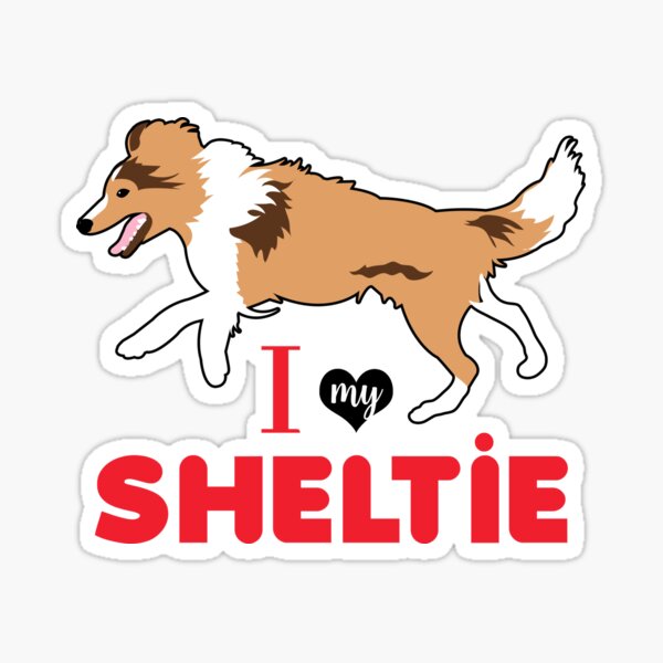 10 x 14 0.06 Width PetKa Signs and Graphics PKAS-0199-NP_10x14I Love My Shetland Sheepdog Plastic Sign 10 x 14 0.06 Width PetKa Signs and Graphics PKAS-0199-NP_10x14I Love My Shetland Sheepdog Plastic Sign