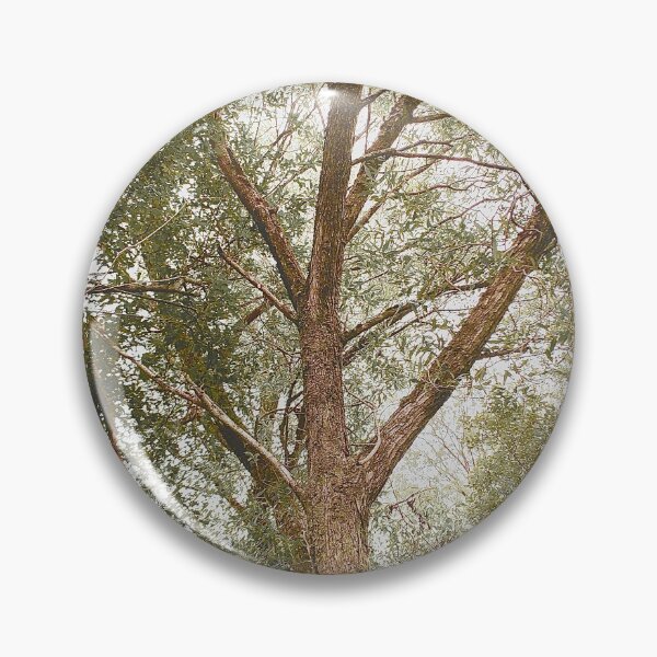 Artikelvorschau, Waldbäume Naturwildnisfotografie entworfen und verkauft von IBMClothing.