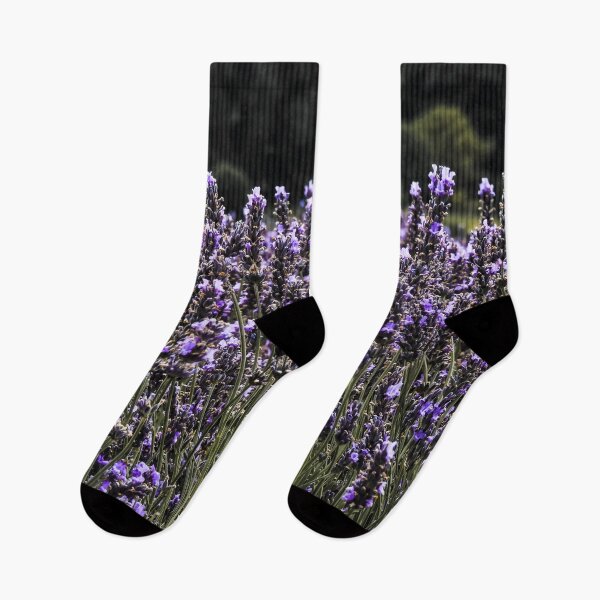 Item preview, Hitchin Lavender Fields  designed and sold by ChloePorter17.