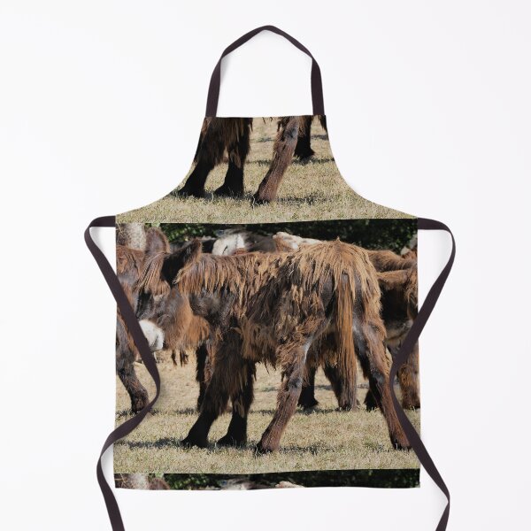 Item preview, r2343/ Ane-Baudet du Poitou à la Fête de l'Abbaye Royal de la Réau  2 (86) par Okaio Création -  Olavia&Olao 2018 designed and sold by o.okaïo.
