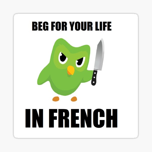 Duolingo lustiges Meme Französisch Sticker
