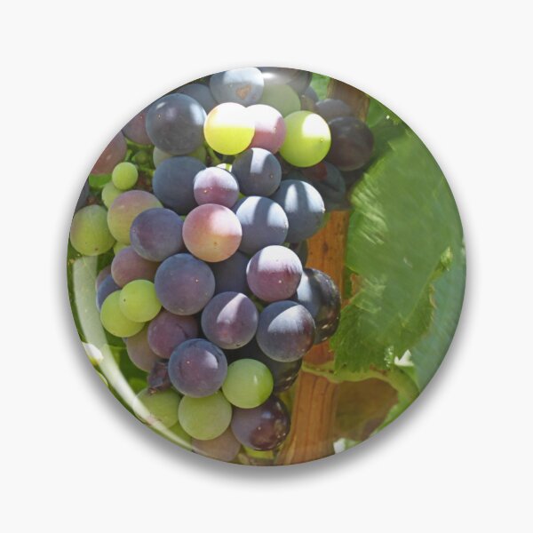 Item preview, Ripening. designed and sold by Paul Pasco.