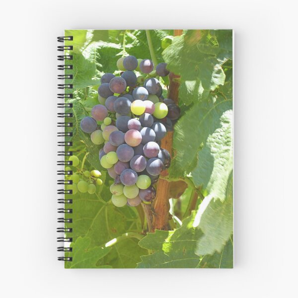 Item preview, Ripening. designed and sold by Paul Pasco.