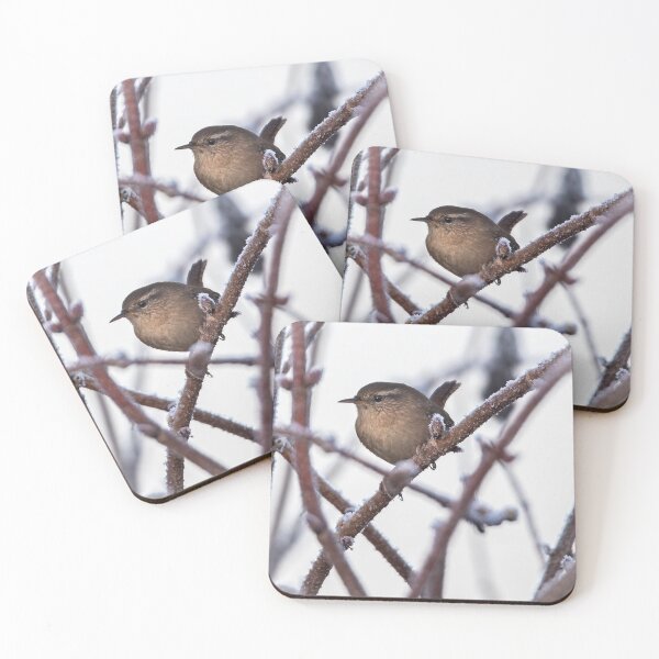 Item preview, A beautiful Wren sitting on a frozen branch designed and sold by PhotographMassa.