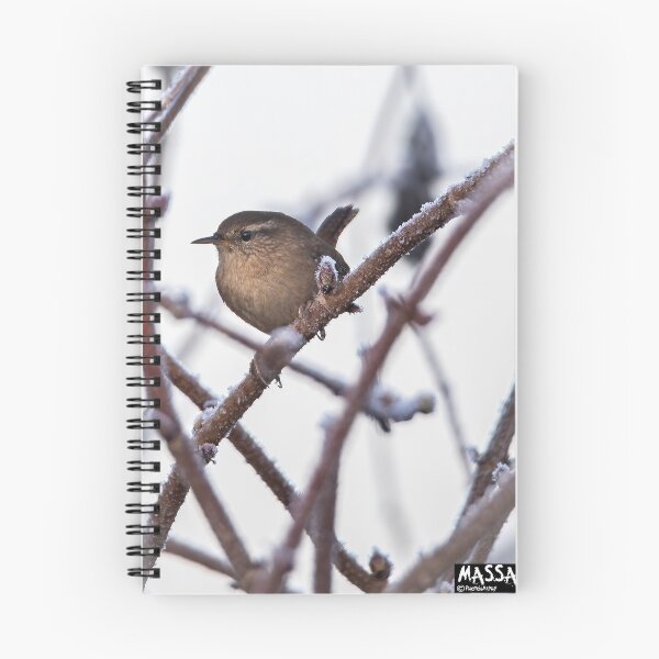 Item preview, A beautiful Wren sitting on a frozen branch designed and sold by PhotographMassa.