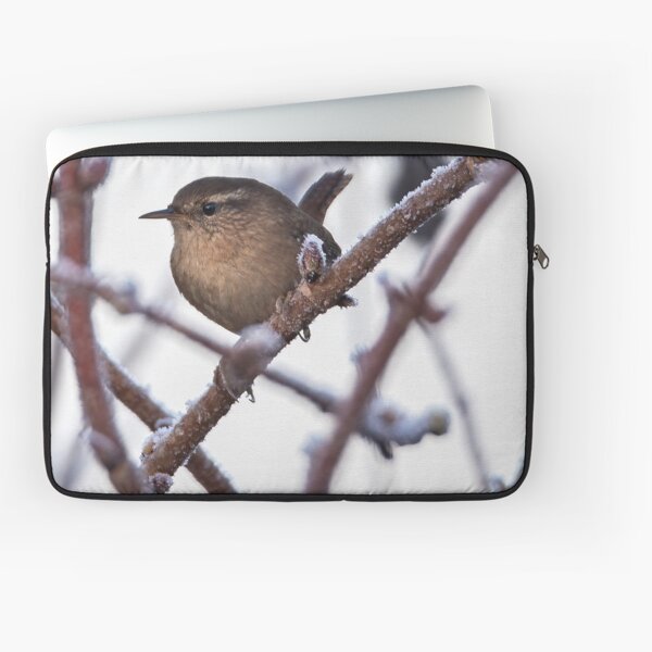 A beautiful Wren sitting on a frozen branch Laptop Sleeve