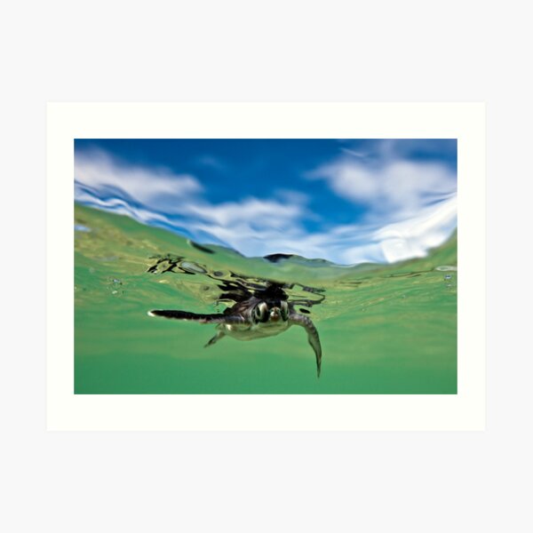 What are you looking at? Art Print