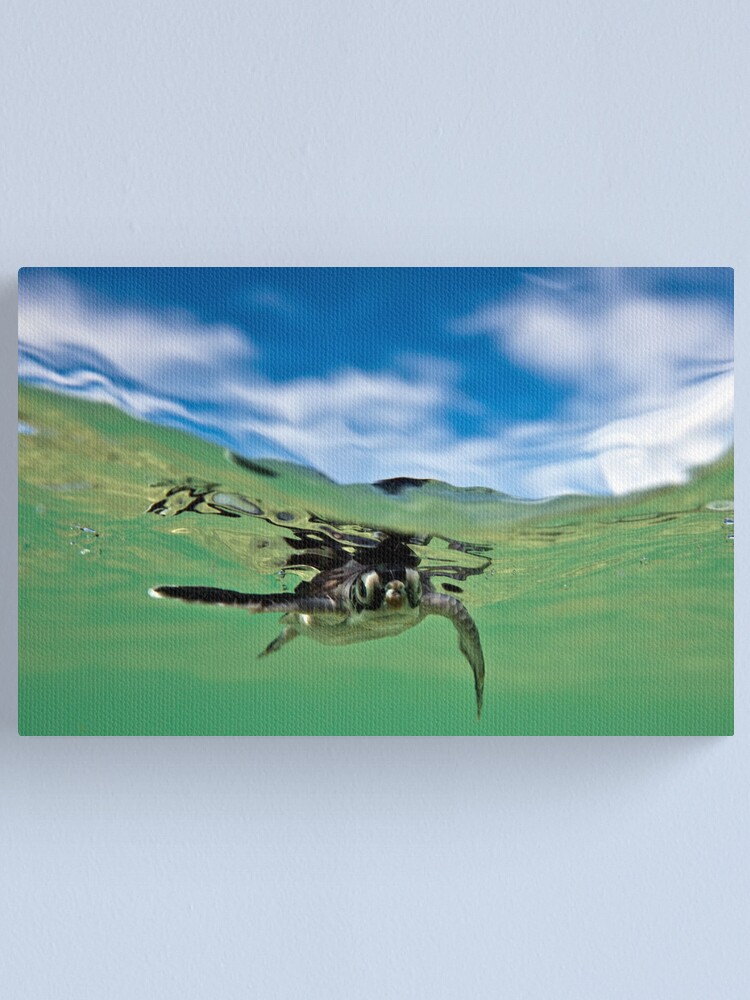 Alternate view of What are you looking at? Canvas Print