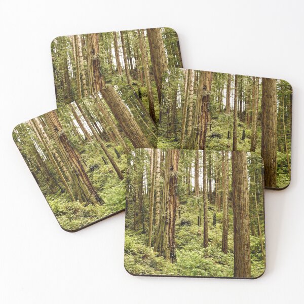 Item preview, Redwood Tree Forest designed and sold by KsbAesthetics.
