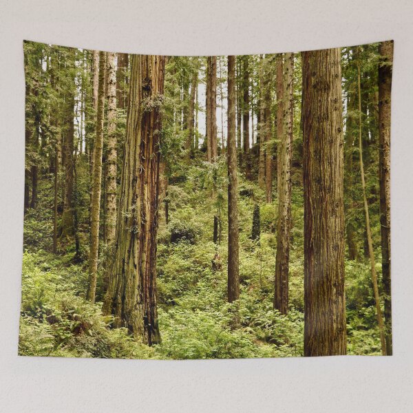 Item preview, Redwood Tree Forest designed and sold by KsbAesthetics.