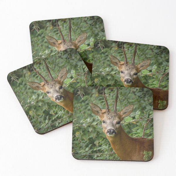 Item preview, Roe Deer designed and sold by PhotographMassa.