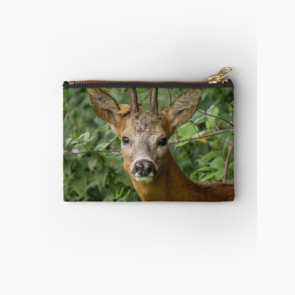 Item preview, Roe Deer designed and sold by PhotographMassa.