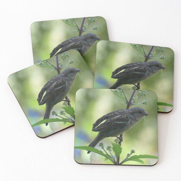 Item preview, Lunch Is For the Birds designed and sold by Tara  Baxendale.
