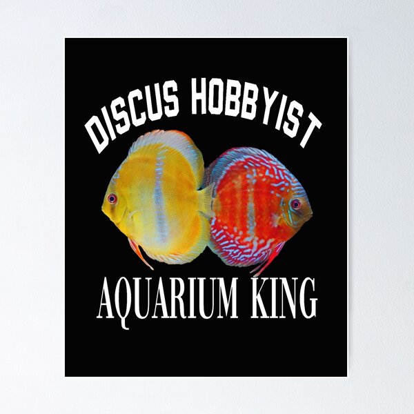 Aperçu de l'œuvre Discus FishShirt créée et vendue par GFishy.