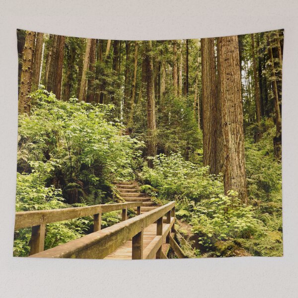 Item preview, Hiking through the Redwood Forest designed and sold by KsbAesthetics.