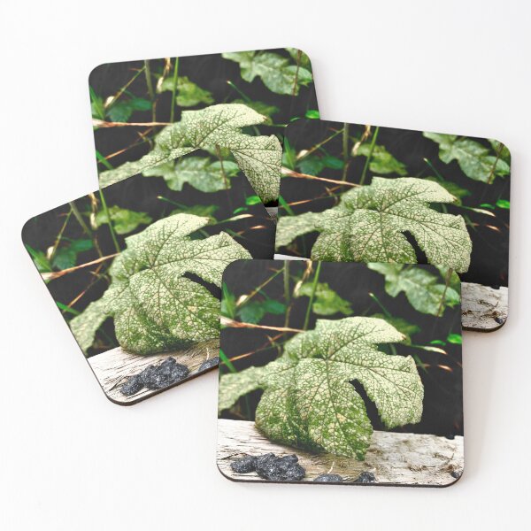 Artikelvorschau, Spotted Leaf Nature Rocks Holzfotografie entworfen und verkauft von IBMClothing.