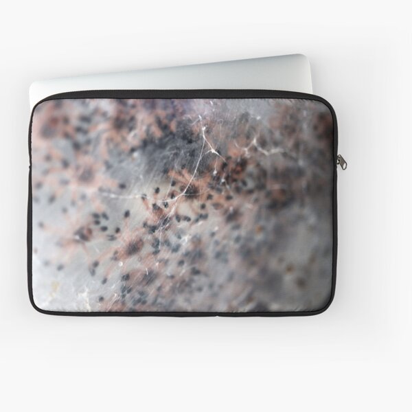 Baby Pink-Toe Spiderlings Laptop Sleeve