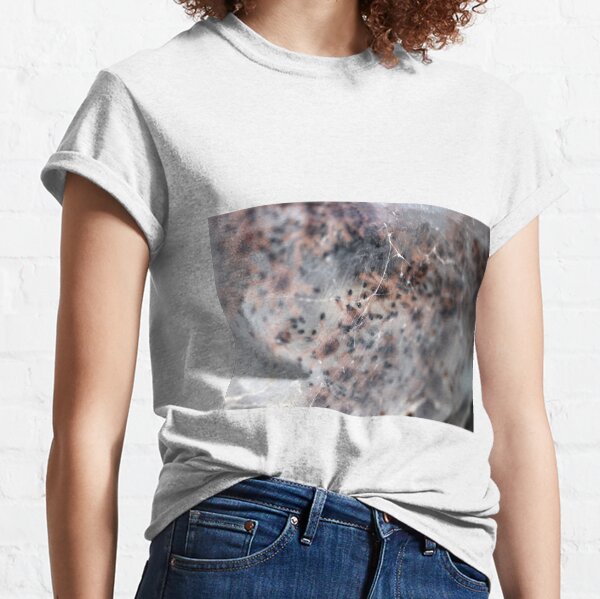 Baby Pink-Toe Spiderlings Classic T-Shirt