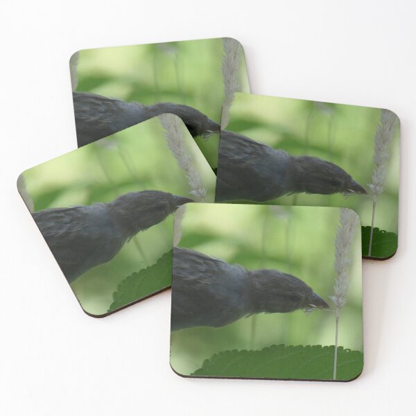 Item preview, Bird Lunch in Yorkville designed and sold by Tara  Baxendale.