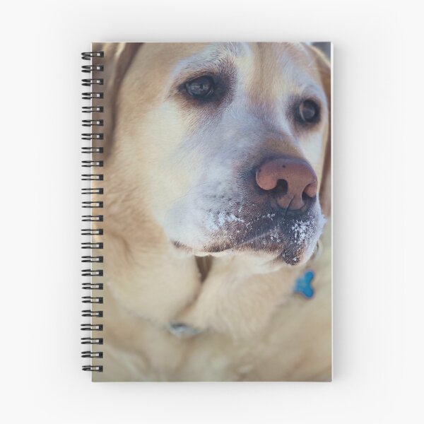 Item preview, Labrador Retriever amarillo de nariz nevada designed and sold by WhatOdds.