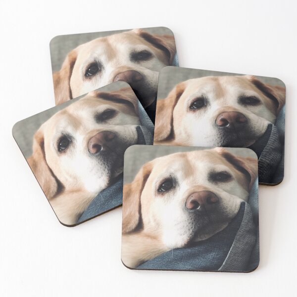 Item preview, Lazy Labrador Retriever designed and sold by WhatOdds.