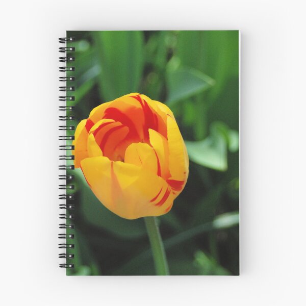 Item preview, More Tulips designed and sold by skysgranny.