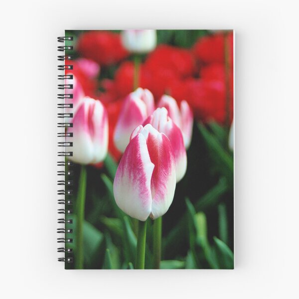 Item preview, Pink Tulips designed and sold by skysgranny.