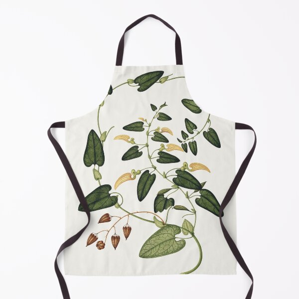 Item preview, Vintage spanish botanical illustration - aristolochia inflata designed and sold by Gardenlibrary.