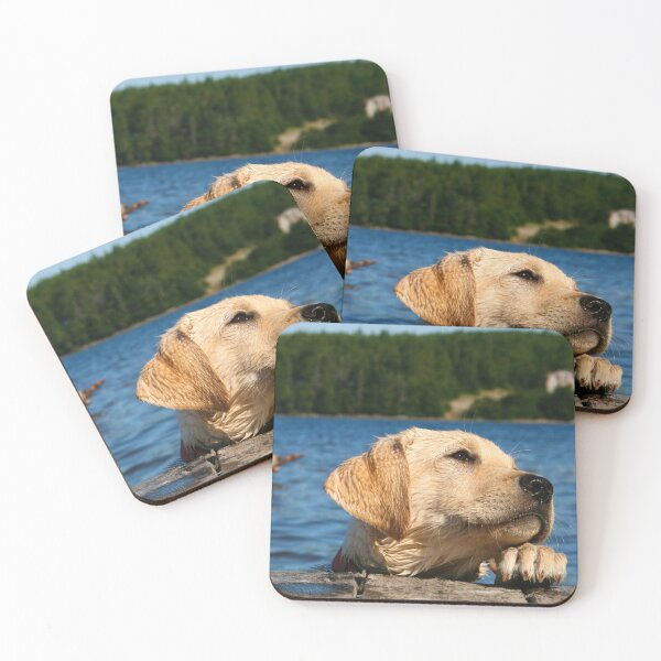 Item preview, Yellow Labrador Puppy's First Swim designed and sold by WhatOdds.