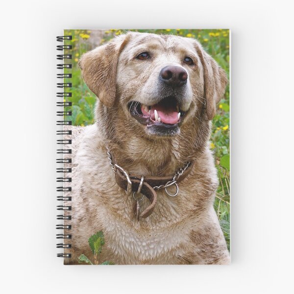 Item preview, Muddy Labrador Retriever designed and sold by WhatOdds.