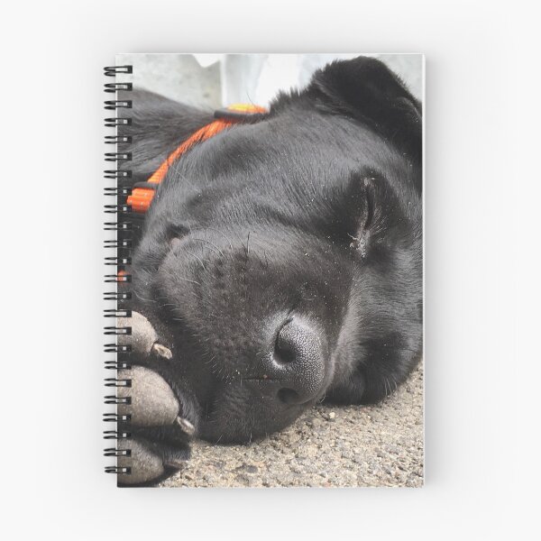 Item preview, Sueño cachorro de laboratorio negro designed and sold by WhatOdds.