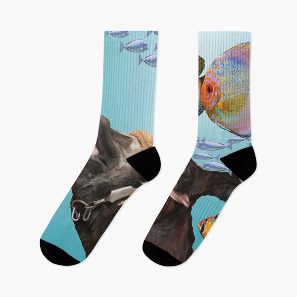 Artikelvorschau, Donkey with tropical fishes entworfen und verkauft von Move-Art.