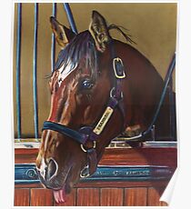 Frankel Poster