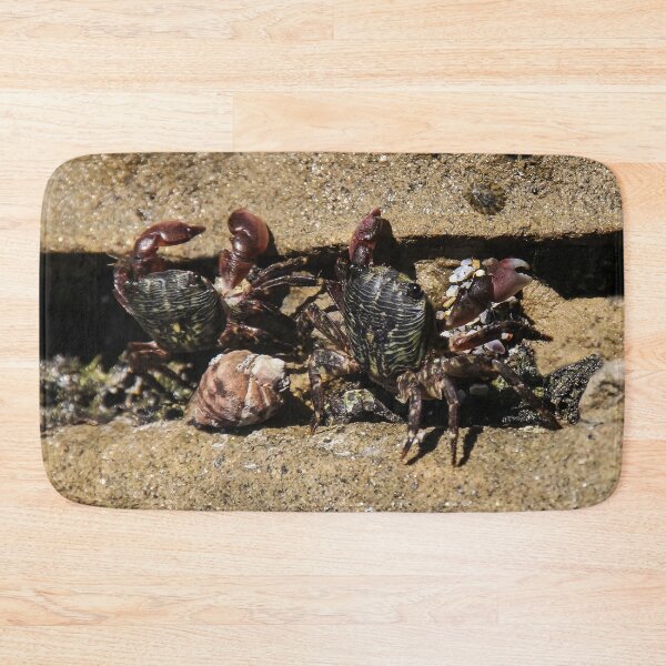 Item preview, Look Out! Here We Come! designed and sold by heatherfriedman.