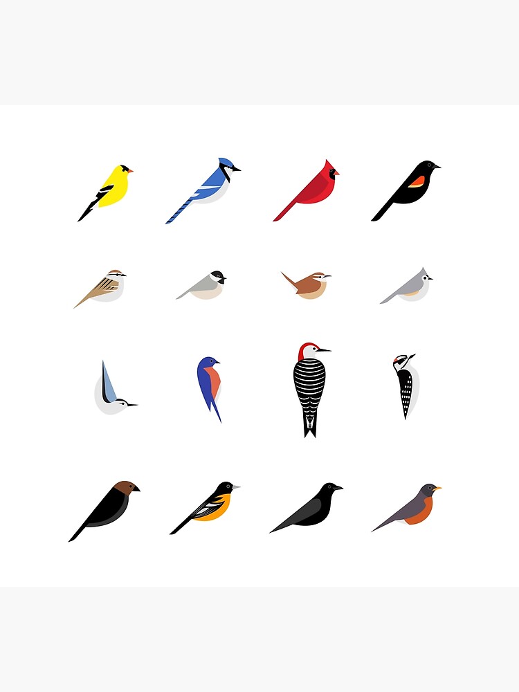 Common Backyard Birds Of North America Socks