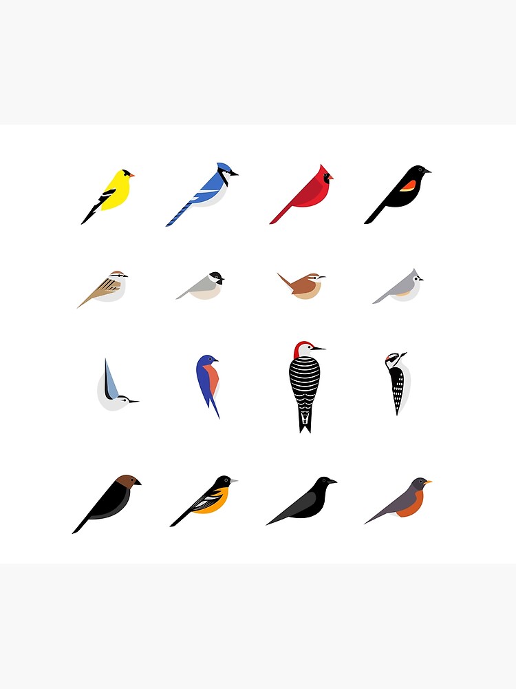 Common Backyard Birds Of North America Shower Curtain Designed & Sold