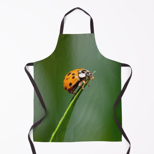 Item preview, Asian Lady Beetle designed and sold by SorryToBugYou.