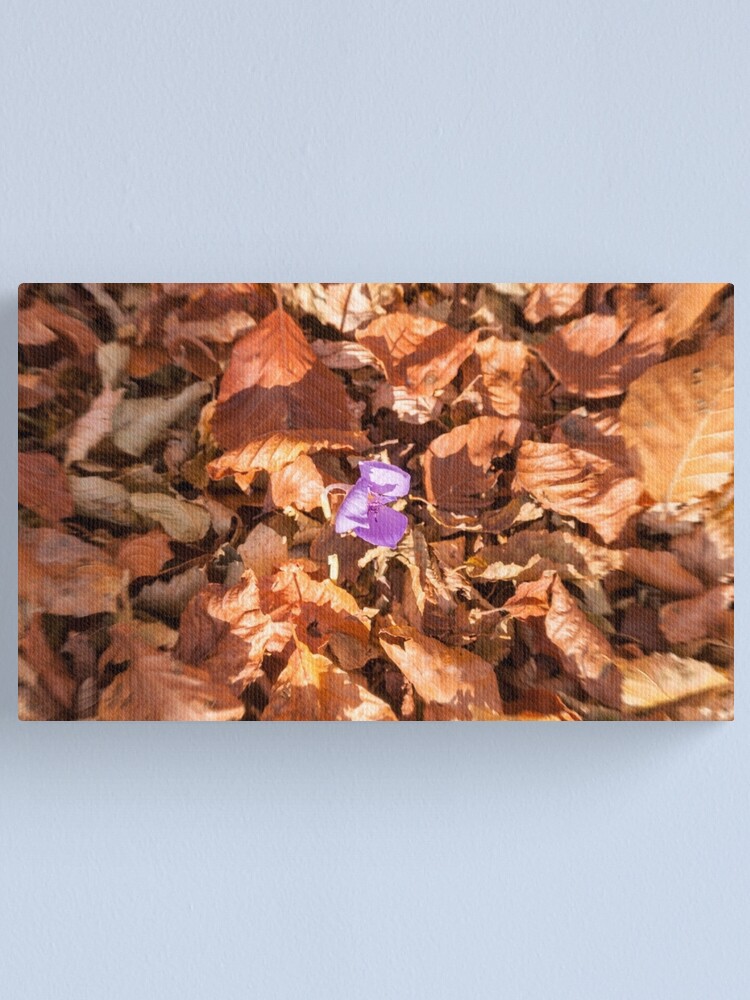 Alternate view of The end of autumn Canvas Print