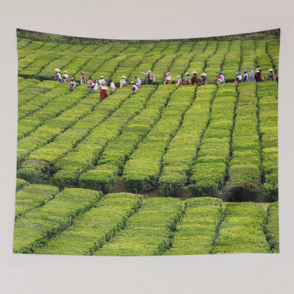 Item preview, Porto Formoso tea gardens designed and sold by Gaspar Avila.