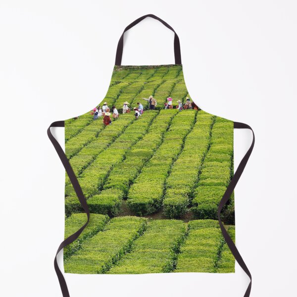 Item preview, Porto Formoso tea gardens designed and sold by Gaspar Avila.