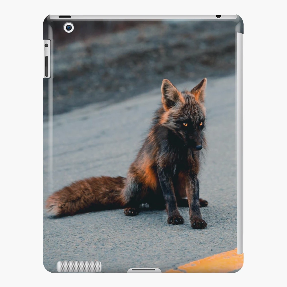 iPad-Hülle & Skin for Sale mit Melanistischer Fuchs von Ccbbtr | Redbubble