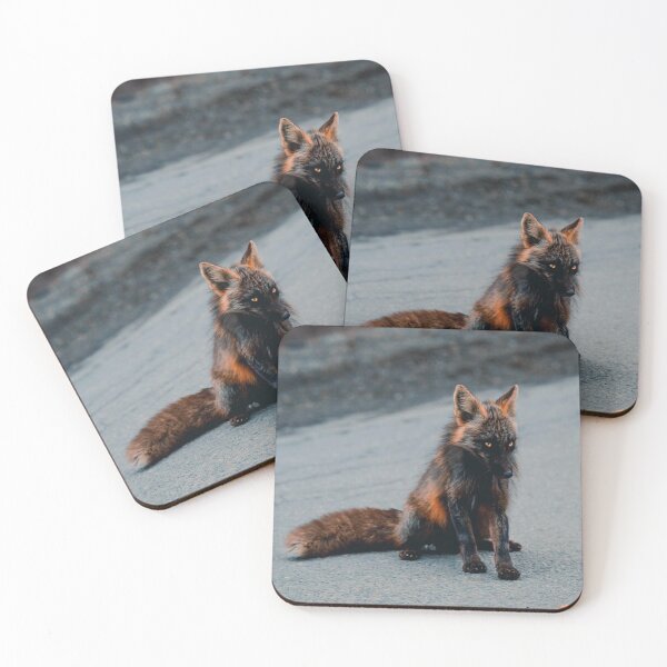 Item preview, Melanistic Fox designed and sold by Ccbbtr.