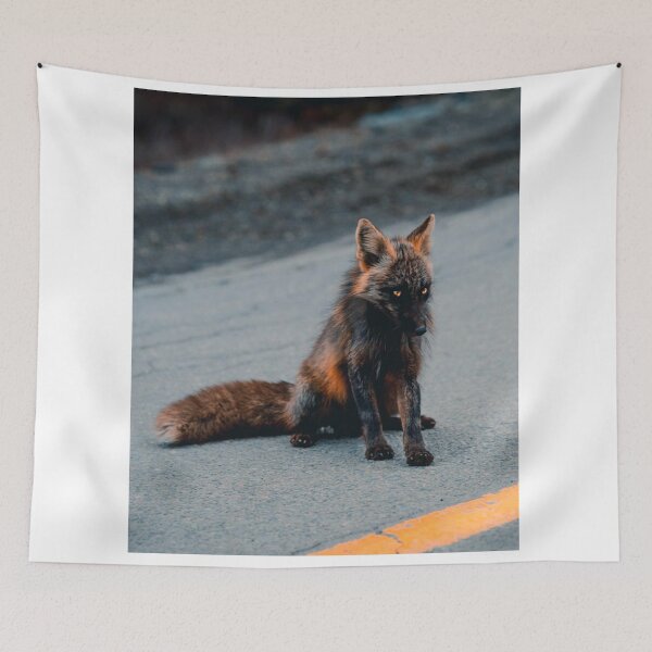 Artikelvorschau, Melanistischer Fuchs entworfen und verkauft von Ccbbtr.
