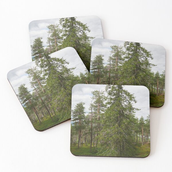 Item preview, Northern spruce designed and sold by Jouko Lehto Photography.
