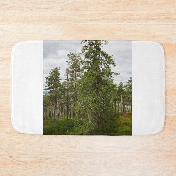 Item preview, Northern spruce designed and sold by Jouko Lehto Photography.
