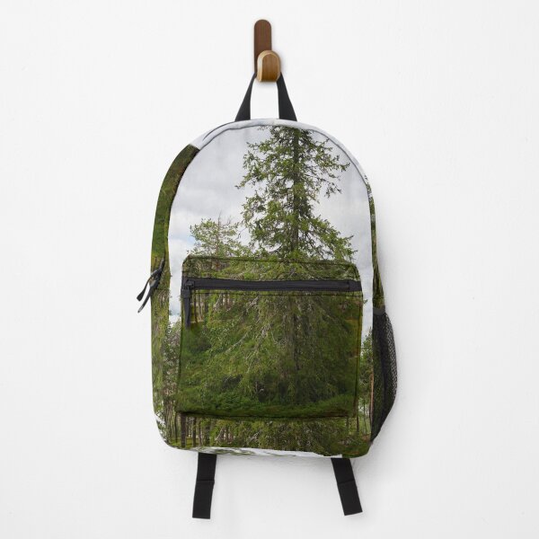 Item preview, Northern spruce designed and sold by Jouko Lehto Photography.