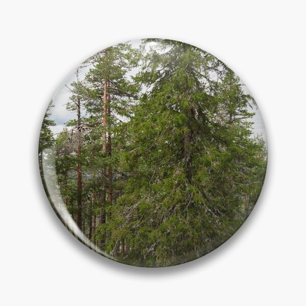 Item preview, Northern spruce designed and sold by Jouko Lehto Photography.