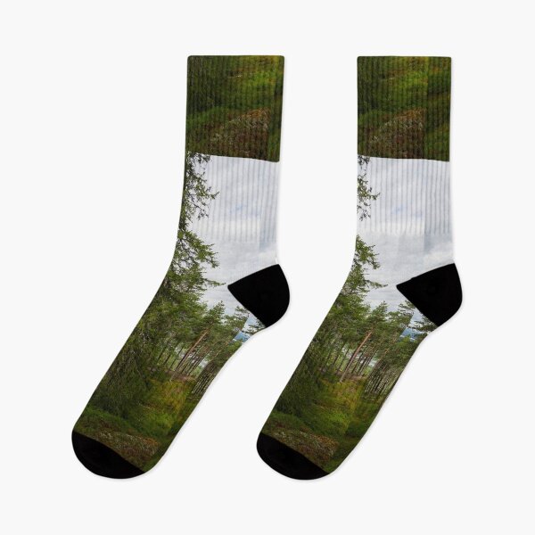 Item preview, Northern spruce designed and sold by Jouko Lehto Photography.