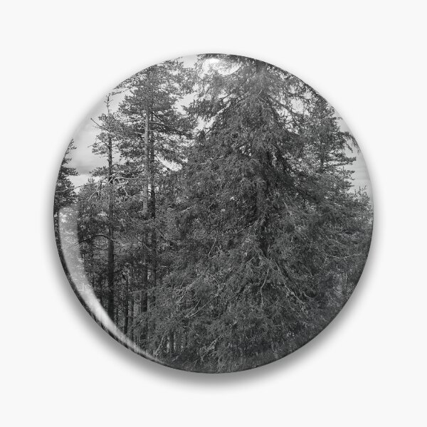 Item preview, Northern spruce in bw designed and sold by Jouko Lehto Photography.